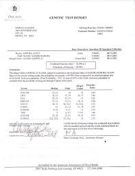 Sam Sloan DNA Test Results - via Daymix
