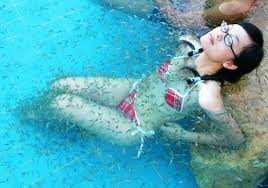 Magic "Fish Spa" Attracts More - via Daymix