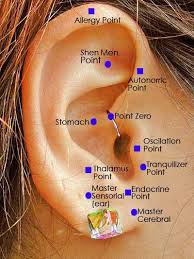   ear staple   labels