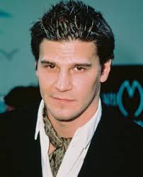 David Boreanaz Image Kristina Hagan files a lawsuit against David Boreanaz | TREND Picture 3