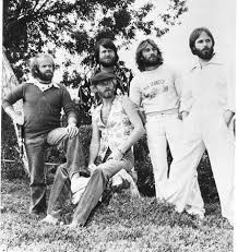 Image <b>The Beach Boys</b> Concert at <b>the</b> Sydney <b>...</b> Picture