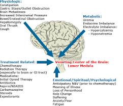 Causes of  nausea  and  vomiting 