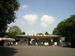 上野動物園の画像1
