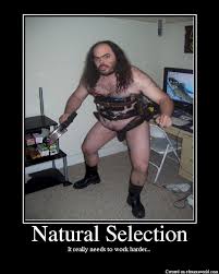   Natural Selection  