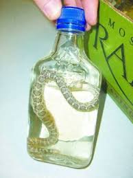 seized 411 bottles of