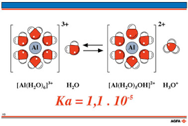      surrounded by  water molecules  