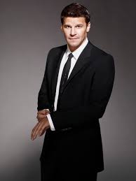 Image <b>David Boreanaz</b> - TV Fanatic Picture