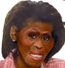 Michelle Obama's face - via Daymix