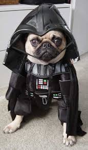 darth vader dog costume