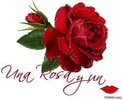 http://images.zwani.com/graphics/portuguese/flores/images/z-flores1.gif