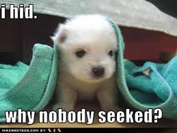 dog and puppy pictures