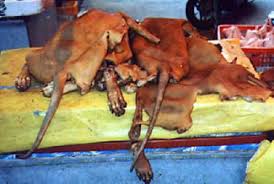 A  pile   of  dog   skin and feet    