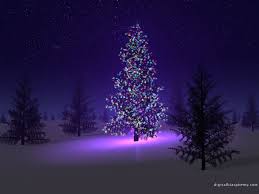 Should A Christian Put Up A Christmas Tree? « Samuel at Gilgal