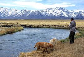 the Upper Owens River in - via Daymix