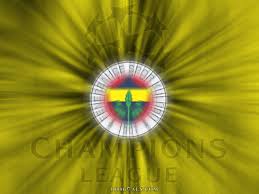   Fenerbahce   in champions league    
