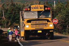 http://www.tc.gc.ca/roadsafety/childsafety/bbtr/schoolbus.htm