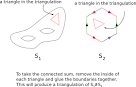 Euler Characteristic