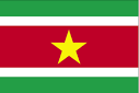 Flags: Suriname Flag - World Country Flags - Flag of Suriname ...