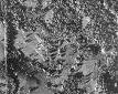 Cuban Missile Crisis - Wikipedia, the free encyclopedia
