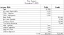 Accounting Trial Balance Example, Sample Adjusted Financial ...