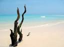 The Best Mozambique Safaris & Exotic Islands For You! Free Expert ...
