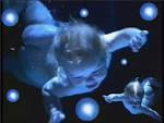 Fond D Ecran Anne Geddes Gratuit. FOND D ECRAN D ANNE GEDDES