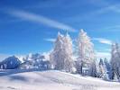 Paysage D'hiver Fond D'écran Gratuit. paysage tout blanc de neige