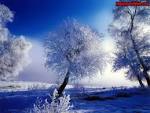 Paysage D'hiver Fond D'écran Gratuit. BEAUX PAYSAGES D'HIVER