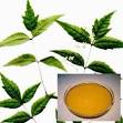 Enhanced Neem Oil Extraction Plant - Offered at Oil Mill Machinery
