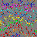 Center for Polymer Studies