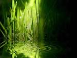 WALLPAPER. Vista Wallpapers – Various 1
