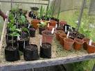 GEF Small Grants Programme - Project Photos