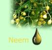 M.J.EXPORTS - Neem Products