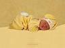 Fond D Ecran Anne Geddes Gratuit. Anne Geddes : bébé dort