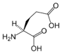 Amino Acids