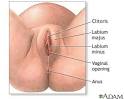 Episiotomy - series | Baltimore Washington Medical Center