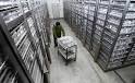 HowStuffWorks "How Gene Banks Work"