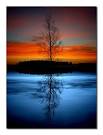 Reflection - RWU Feinstein Service Center