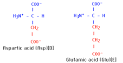 Amino Acids