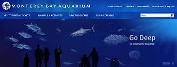 Image: Monterey Bay Aquarium - via Daymix