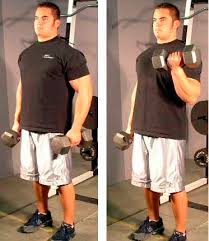 Standing Dumbell Bicep Curls - via Daymix
