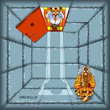       insurance   policy of a  citizen   of    