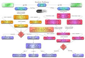  Acidosis  Pathway