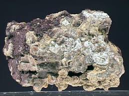 Selenium 