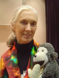 Jane Goodall, patron saint of - via Daymix