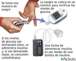 http://www.lifespan.org/adam/graphics/images/es/18029.jpg