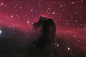 horse-1520.jpg
