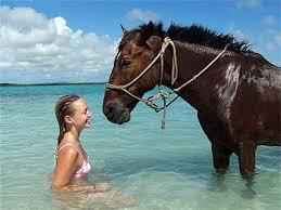 Riding