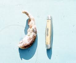 appendix.jpg