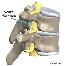 Physiotherapy in Barrie for Mid Back